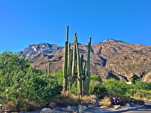 hikes around phoenix