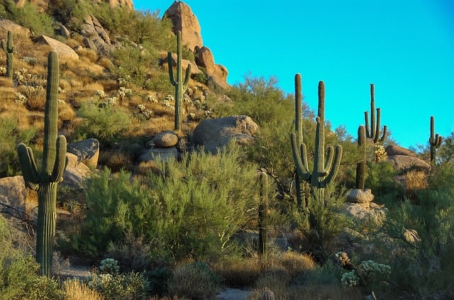 hiking in phoenix