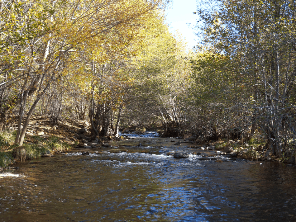 day trip to sedona from phoenix