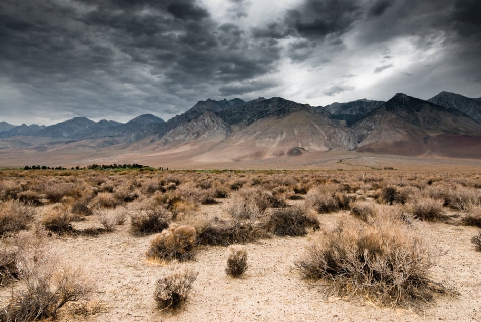 national park nevada