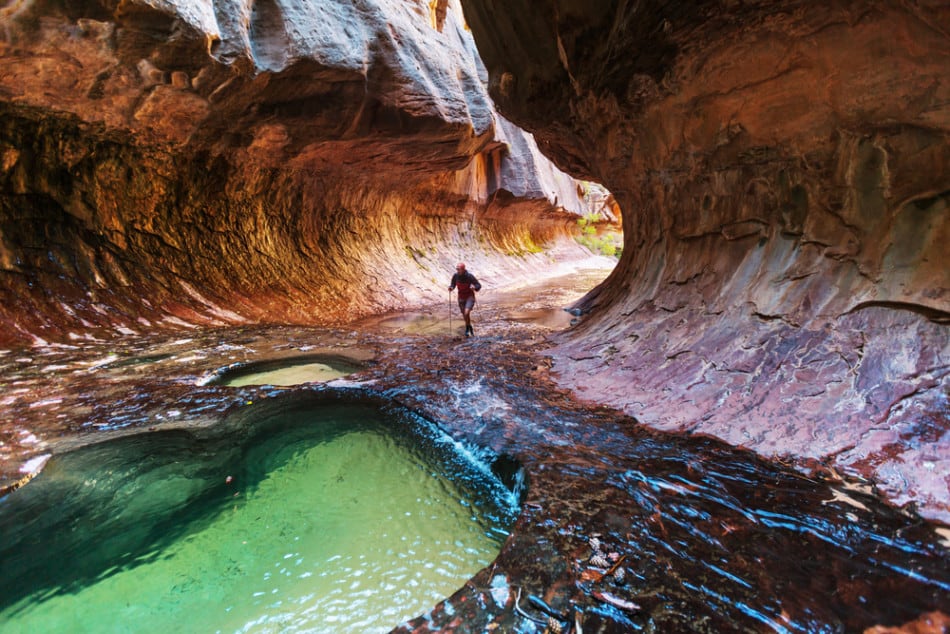zions national park hikes