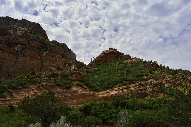 zion national park in february