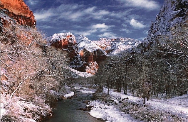 zion national park december