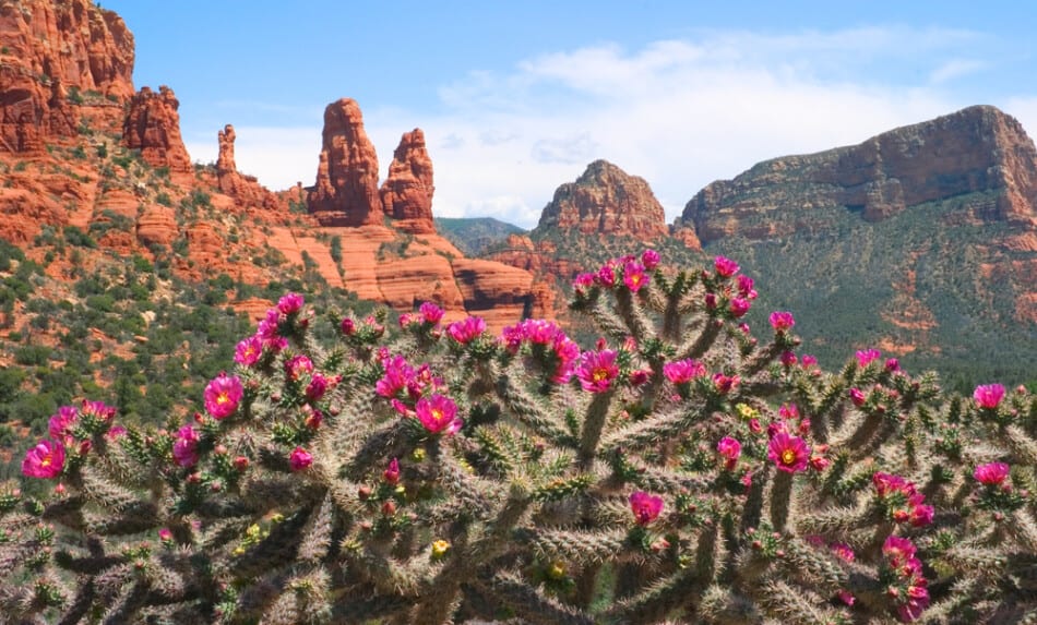 Top things to do in Sedona