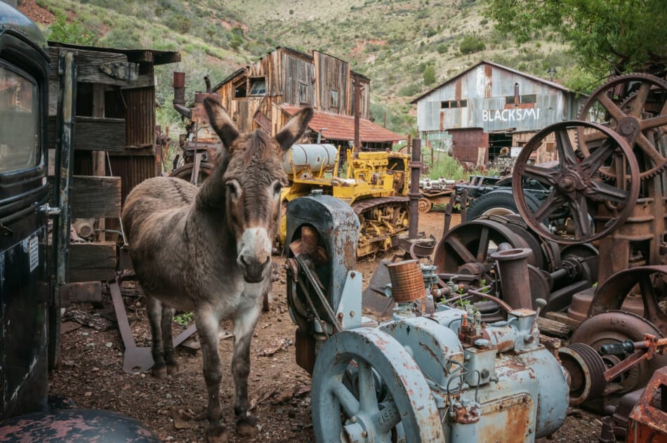 17 Best Things to do in Jerome, Arizona Ghosts, Wine, and Burgers!