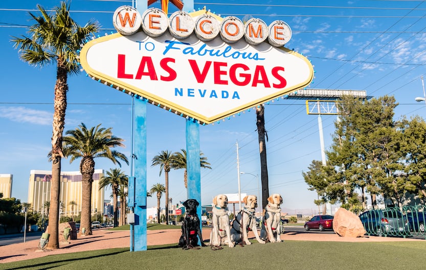 hotel pet friendly las vegas